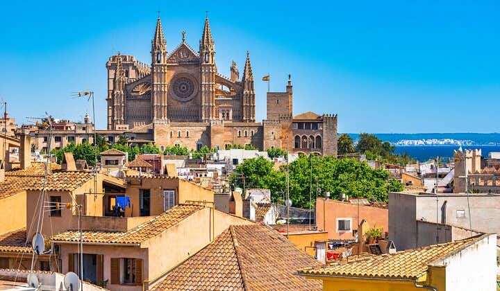 Palma Scavenger Hunt and Best Landmarks Self-Guided Tour