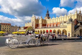 Explore Krakow in 1 hour with a Local
