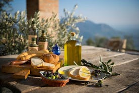 Abano Montegrotto -oliiviöljystä ja -viinistä Euganean kukkuloilla
