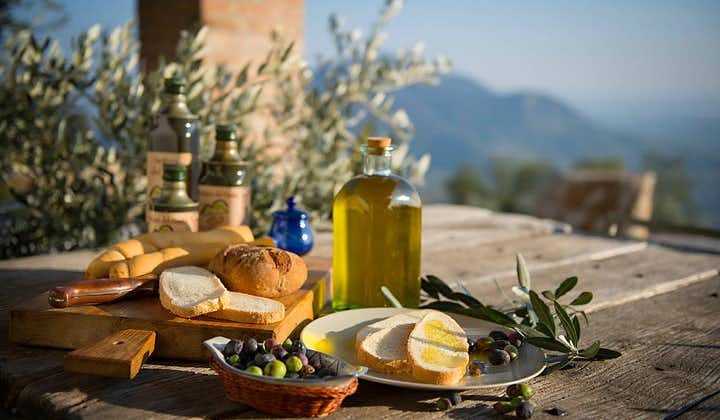 From Abano Montegrotto Olive Oil & Wine in the Euganean Hills