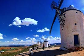 Excursão de um dia pela região vinícola de Toledo e La Mancha