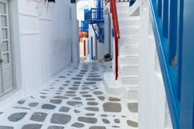 Private Tour: 3 Hours Mykonos Island Tour