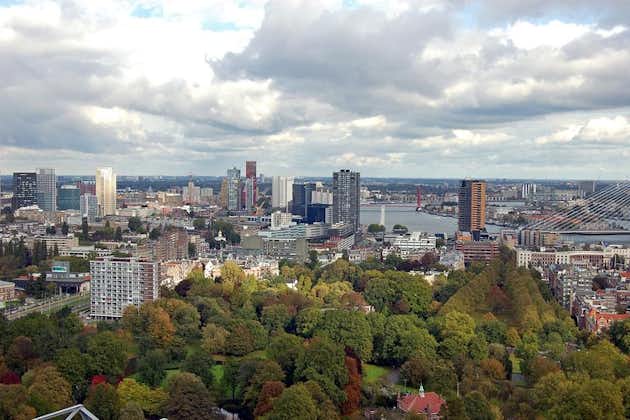 Rotterdam como un local: recorrido privado personalizado