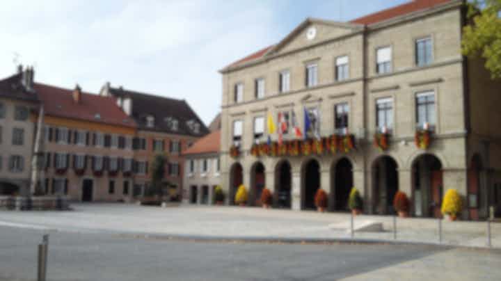 Hotele i obiekty noclegowe w Thonon Les Bains, we Francji