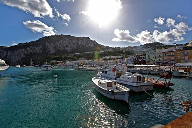 Excursion privée d'une journée à Capri et Pompéi au départ de Sorrente
