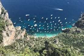 Capri Full-Day Tour from Rome with Private Island Boat Tour 
