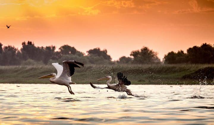 Private four days safari experience to the Danube Delta from Bucharest