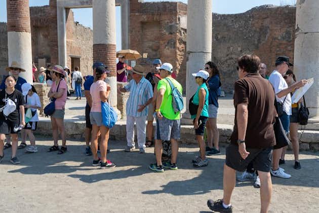 ALL-INCLUSIEVE rondleiding. Pompeii opgravingen met transfer vanuit Napels, gids en ticket.