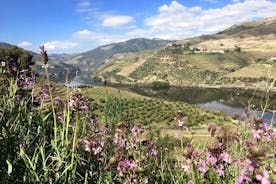 Douro Valley and Régua Panoramic Cruise with Lunch from Porto