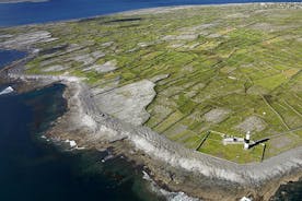 Fahrradtour zu den Aran-Inseln mit Tee und Scones - Tagesausflug von Doolin nach Inisheer
