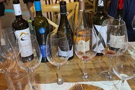 Expérience de dégustation de vins à Rhodes