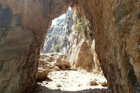 Excursión de senderismo de día completo a la garganta de Imbros y Sfakia desde Chania