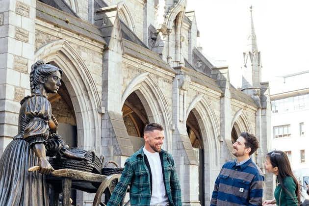 Dublin Private Walking Tours with a Local Guide, Personalized 