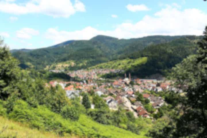 Vacation rental apartments in Forbach, France