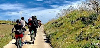 Enduro & Downhill mountain bike shuttle assisted tour