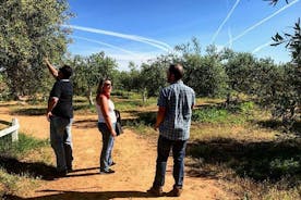 Olivolja Farm Tour med provsmakning från Sevilla