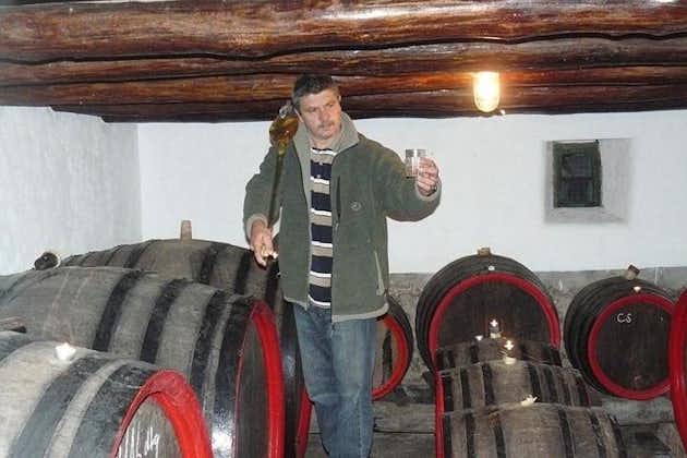 Cata de vinos privada y turismo en las ciudades históricas de Eger y Gyongyos