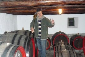 Private wine tasting and sightseeing in the historic towns of Eger and Gyongyos 