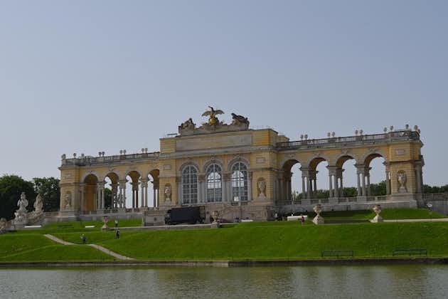 Excursión a pie por la ciudad privada de Viena y paseo en tranvía con visita al palacio de Schonbrunn