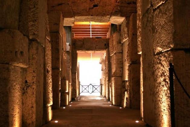 Tour sotterraneo del Colosseo con piano Arena e Roma antica: esperienza VIP