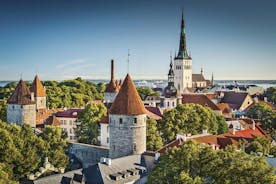 Excursion d'une journée à Tallinn depuis Helsinki en voiture VIP