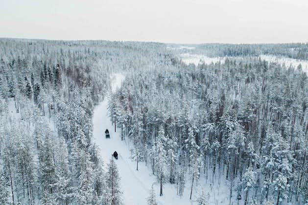 Erleben Sie eine 3-stündige Schneemobil-Safari in Lappland