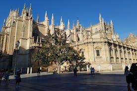 Tour guidato di 1 ora della cattedrale di Siviglia con salita sulla torre de La Giralda