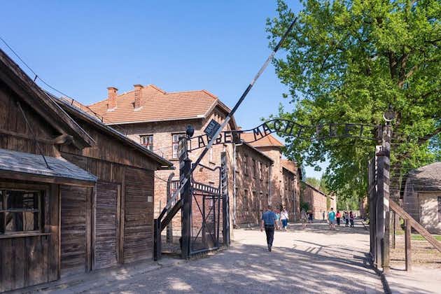 Desde Cracovia: tour combinado de día completo de Auschwitz-Birkenau y la mina de sal de Wieliczka