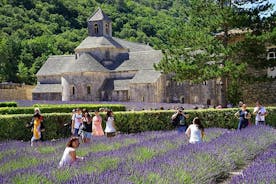 Villages of Provence Private Tour