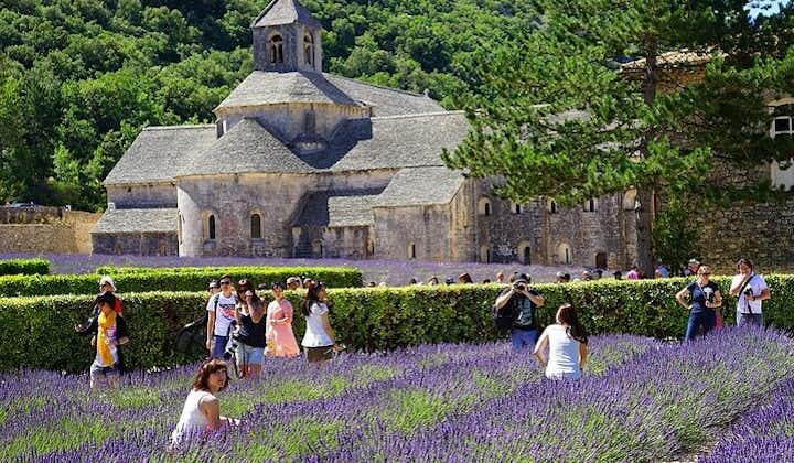 Byarna i Provence Privat rundtur