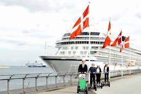 Excursión en tierra: crucero de 1 hora en Segway en Copenhague