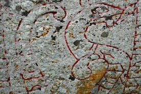 Viikinkihistorian kokopäiväretki Tukholmasta mukaan lukien Sigtuna ja Uppsala