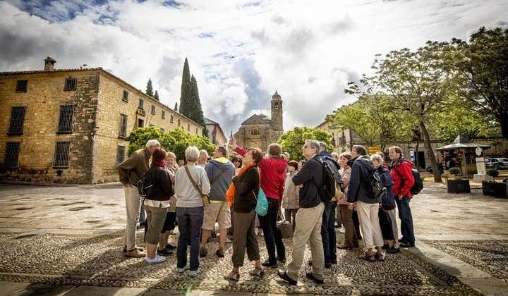 Monumental Úbeda and Baeza - Guided tours with interiors