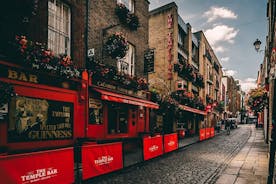 Magnificent Dublin - Guided Walking Tour 