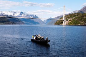 Exclusive & private Hardangerfjord RIB safari tour from Ulvik
