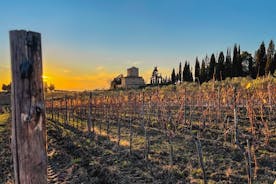 Walking Tour of Chianti Classico with 3 Organic Wine Tasting and lunch
