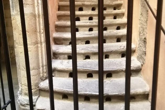 Visita guiada privada a pie por el casco antiguo de Lyon