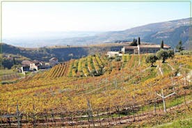 Descubra los viñedos de Valpolicella y la experiencia de cata de vinos