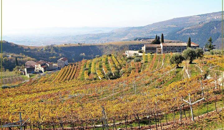 Descubra los viñedos de Valpolicella y la experiencia de cata de vinos