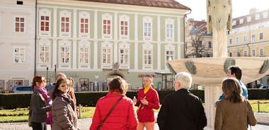 Detaljeret Klagenfurt-tur i en lille gruppe