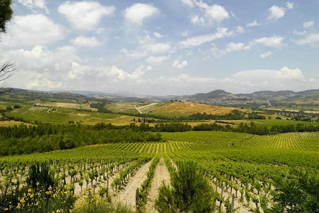 Orvieto & Countryside plus vin- og oliesmagning fra Civitavecchia