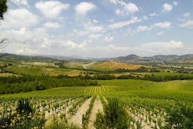 Orvieto ja maaseutu sekä viinin ja öljyn maistelu Civitavecchiasta
