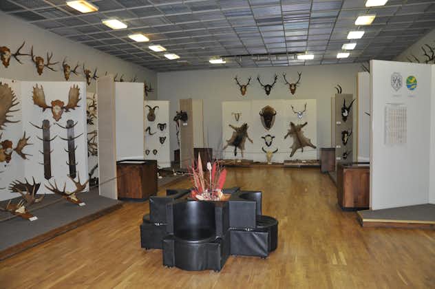 Kaunas Tadas Ivanauskas zoological museum: Hall of Hunting Trophies.