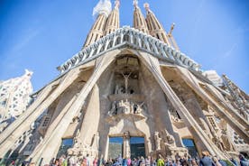 Forgangsaðgangur: Barcelona Sagrada Familia ferð með turninngangi