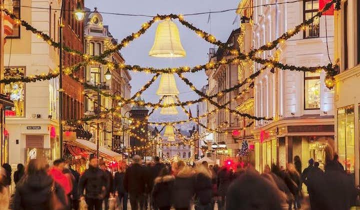 Oslo's Christmas Spirit Private Walking Tour