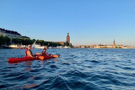 Tour guiado en kayak por el centro de Estocolmo