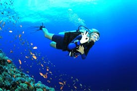 Kemer Scuba Diving With Lunch and Transfer