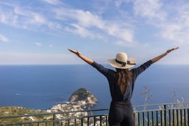 Gita di un giorno a Ischia da Sorrento: giro turistico e gustoso tour con guida locale