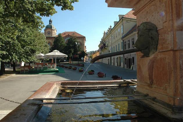 Privédagtocht naar de kloosters van Fruska Gora, Sremski Karlovci en Novi Sad