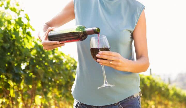 Vino Venture: Explore With A Local - Troodos Mountains thru Wine!